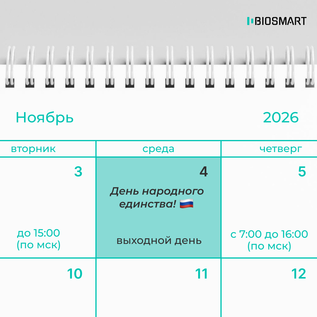 Как работаем в ноябре 2026