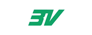 3V